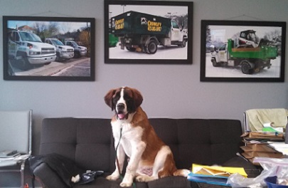 OFFICE-DOG
